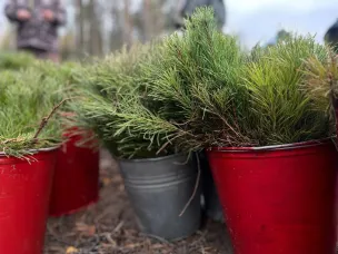 В Нижегородской области стартует шестой сезон акции «Сад памяти»